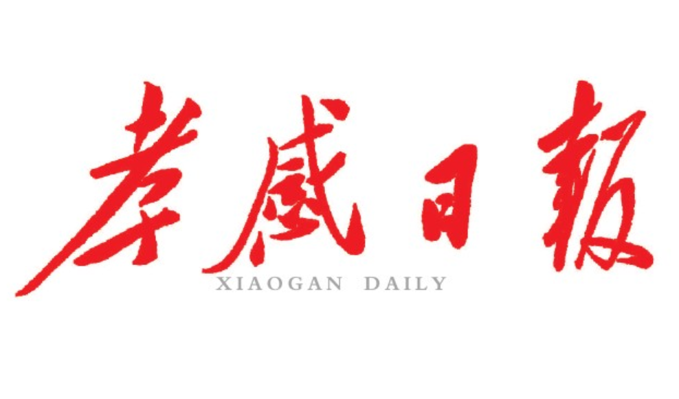 孝感日報登報電話